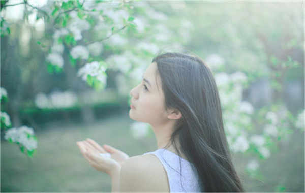 头屯河验血查男女几周可以验(验血查男女结果图)